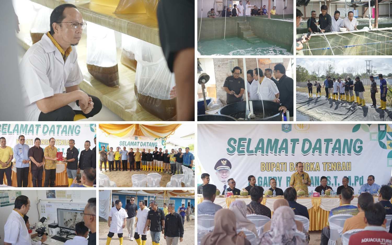 Investasi Melejit, Bupati Bangka Tengah Puji Kontribusi Nyata Hatchery Udang PT CPP bagi Ekonomi Daerah