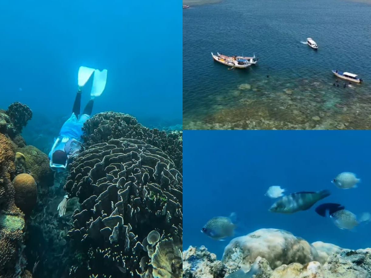 Diving Center