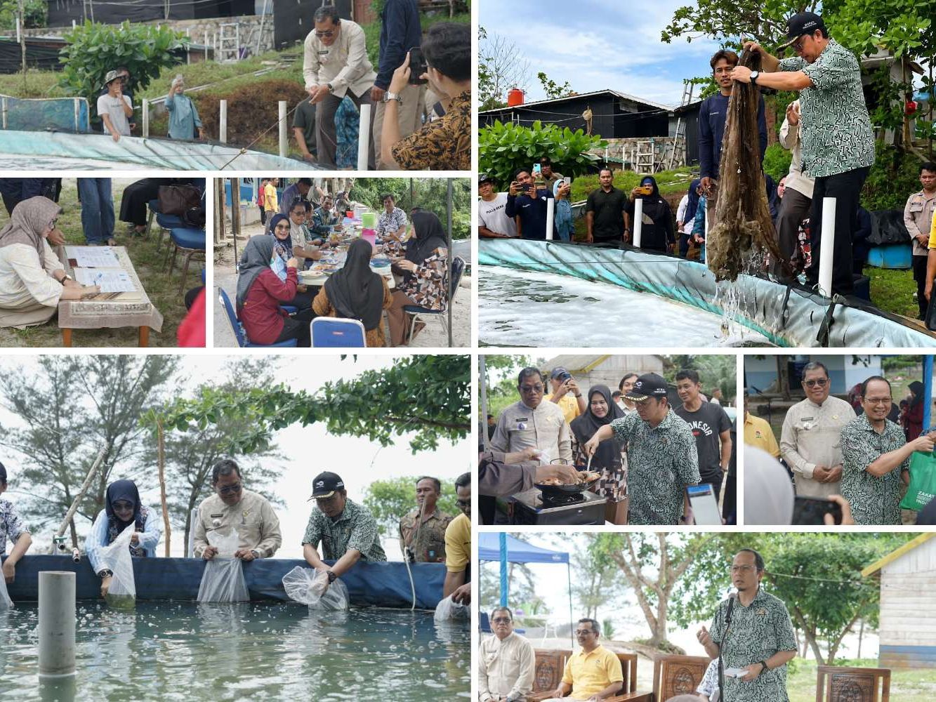 Perikanan Budidaya